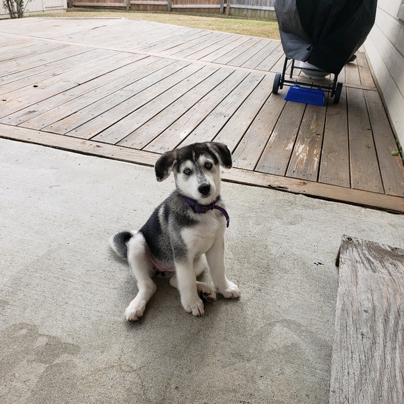 Meet your Posher, Jon - Picture 1 of 1